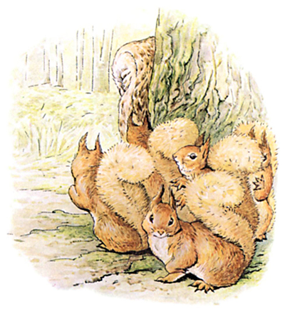 The Tale Of Squirrel Nutkin (Beatrix Potter)